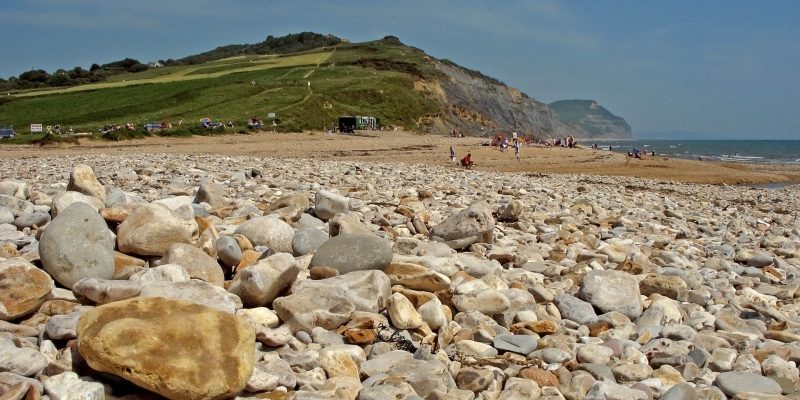 Charmouth, Dorset