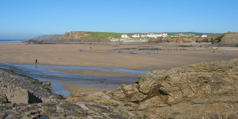 Bude Surfers