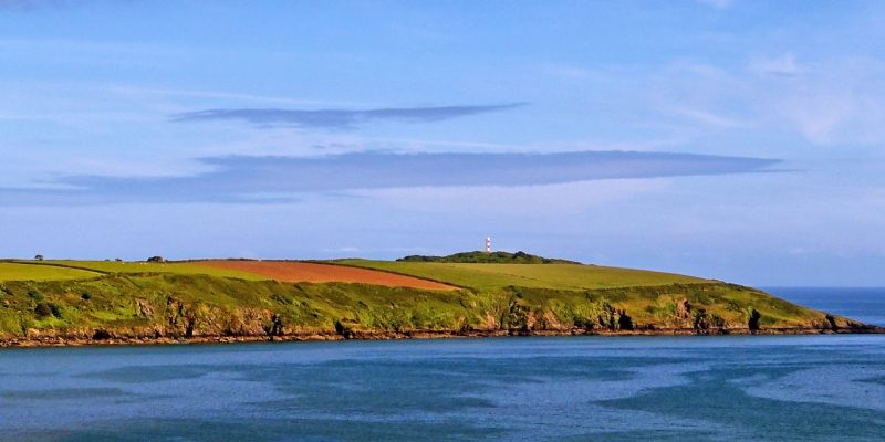 Gribbin Head View