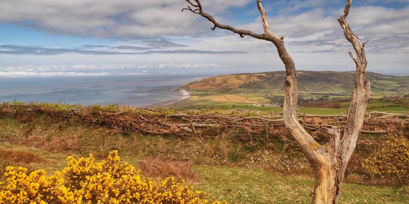 Porlock Weir View, Somerset